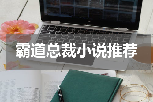 霸道总裁小说推荐