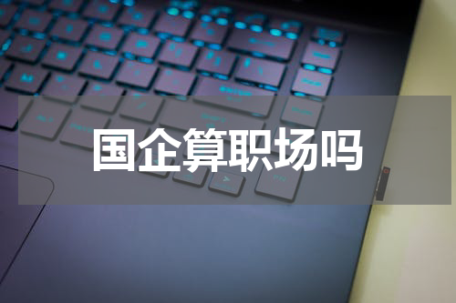 国企算职场吗