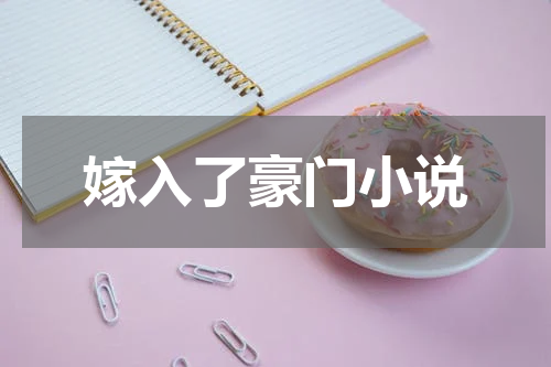 嫁入了豪门小说