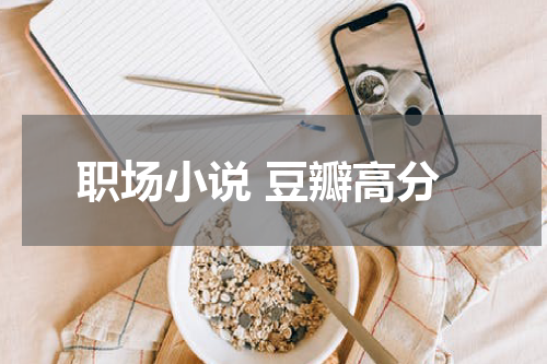 职场小说 豆瓣高分