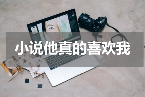小说他真的喜欢我
