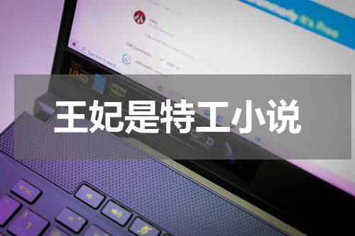 王妃是特工小说