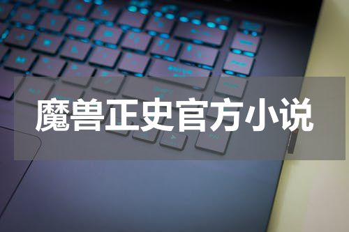 魔兽正史官方小说