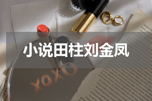小说田柱刘金凤