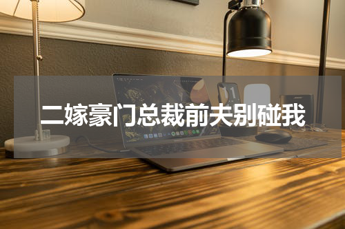 二嫁豪门总裁前夫别碰我