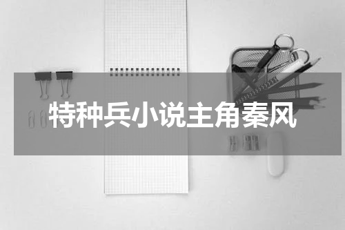 特种兵小说主角秦风