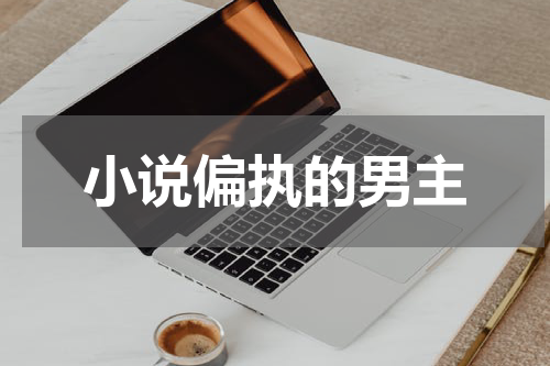 小说偏执的男主