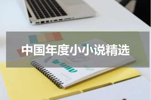中国年度小小说精选