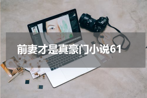 前妻才是真豪门小说61