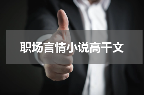 职场言情小说高干文