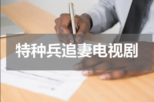 特种兵追妻电视剧