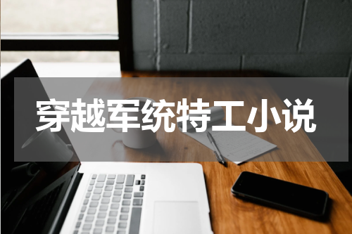 穿越军统特工小说