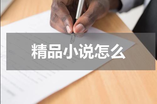 精品小说怎么