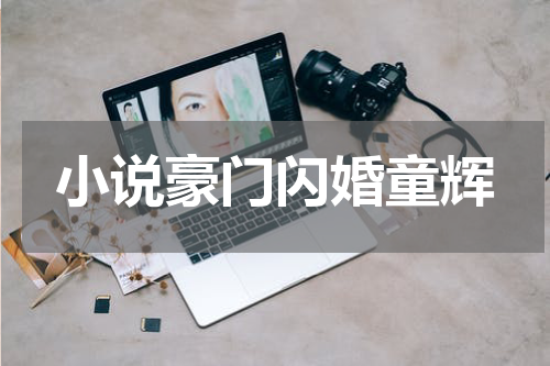 小说豪门闪婚童辉