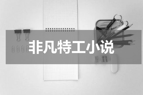 非凡特工小说