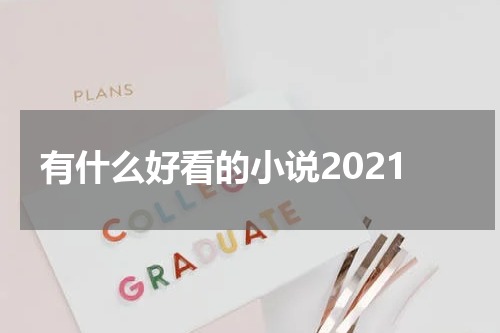 有什么好看的小说2021