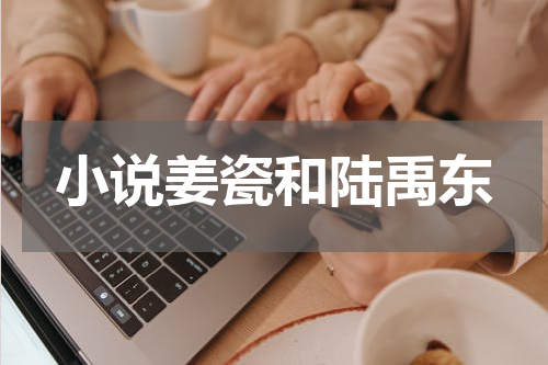 小说姜瓷和陆禹东