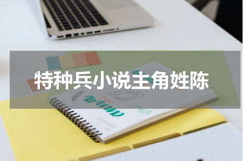 特种兵小说主角姓陈