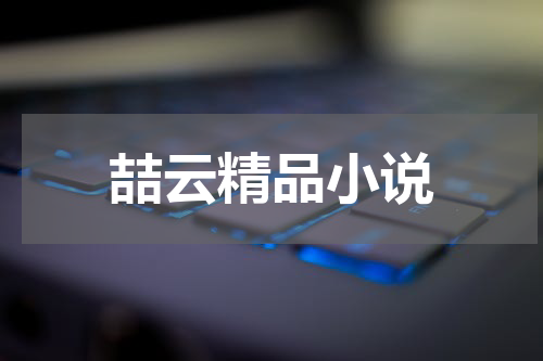 喆云精品小说