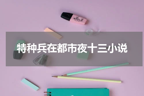 特种兵在都市夜十三小说