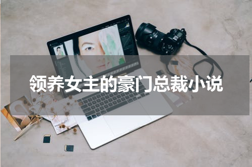 领养女主的豪门总裁小说