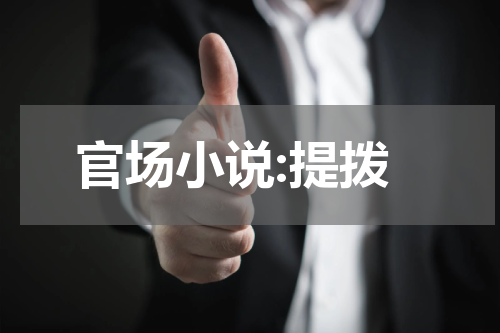 官场小说:提拨