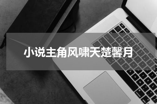 小说主角风啸天楚馨月