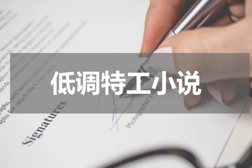 低调特工小说