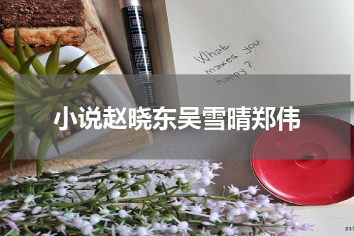 小说赵晓东吴雪晴郑伟