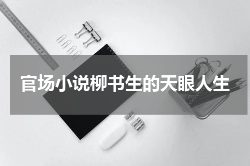 官场小说柳书生的天眼人生