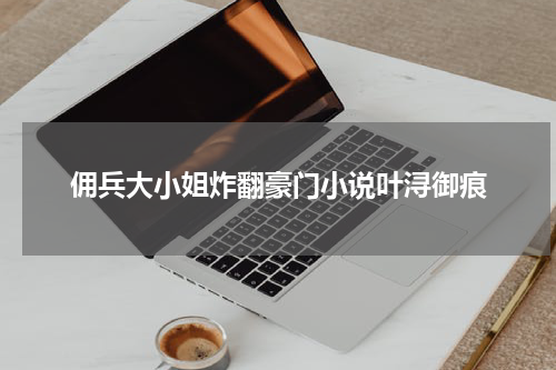 佣兵大小姐炸翻豪门小说叶浔御痕