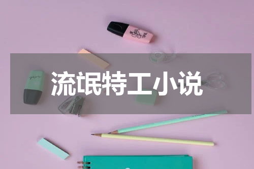 流氓特工小说