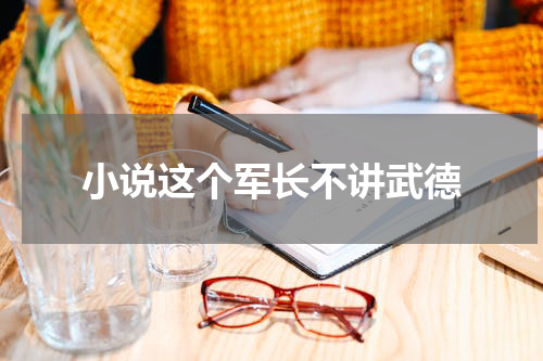 小说这个军长不讲武德