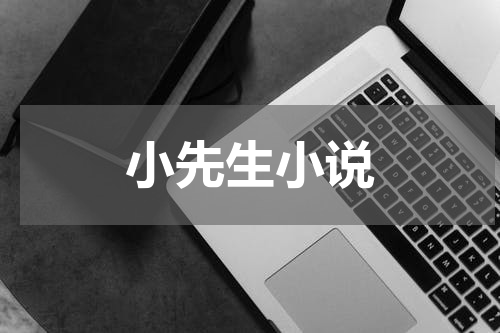 小先生小说