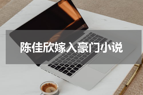 陈佳欣嫁入豪门小说