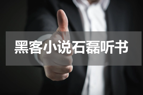 黑客小说石磊听书