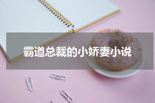 霸道总裁的小娇妻小说