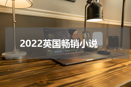 2022英国畅销小说