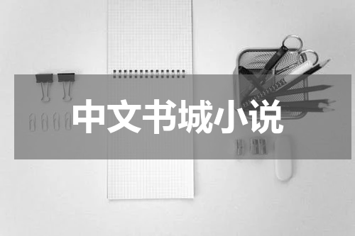 中文书城小说