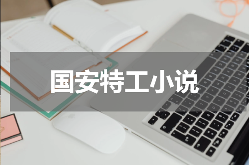 国安特工小说