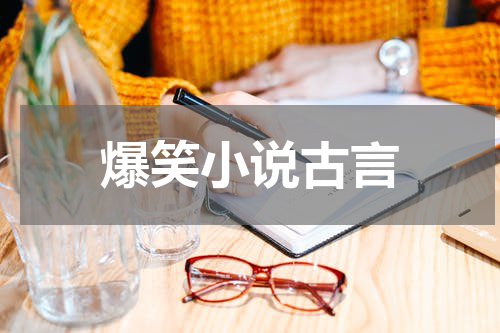 爆笑小说古言