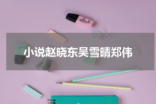 小说赵晓东吴雪晴郑伟