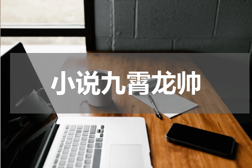 小说九霄龙帅