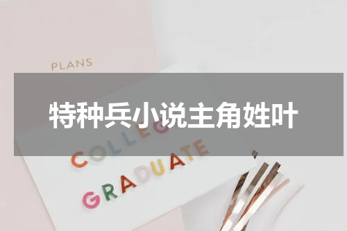 特种兵小说主角姓叶