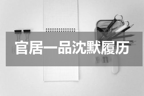 官居一品沈默履历