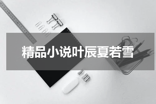 精品小说叶辰夏若雪