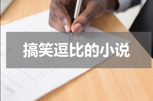 搞笑逗比的小说