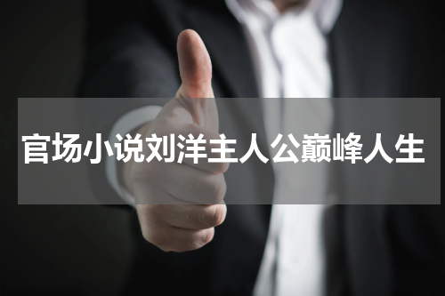 官场小说刘洋主人公巅峰人生