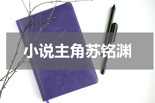 小说主角苏铭渊