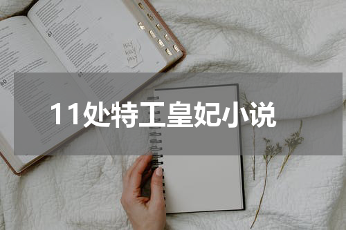 11处特工皇妃小说